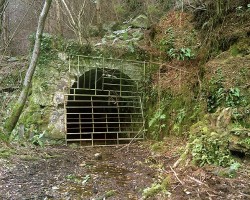 Tunnel — not a good way, I will try to learn and do it differently, but for now I go this way…