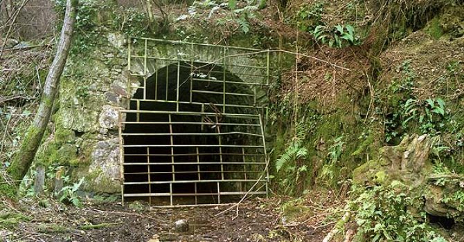 Tunnel — not a good way, I will try to learn and do it differently, but for now I go this way…